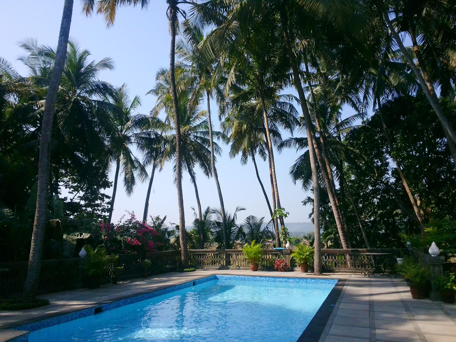 Swimming pool, terrace and coconut palms